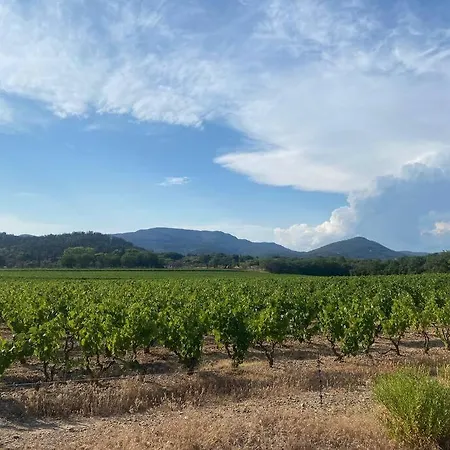 Bastide De L'hermitan - Golfe De Saint Tropez Вилла Коголин